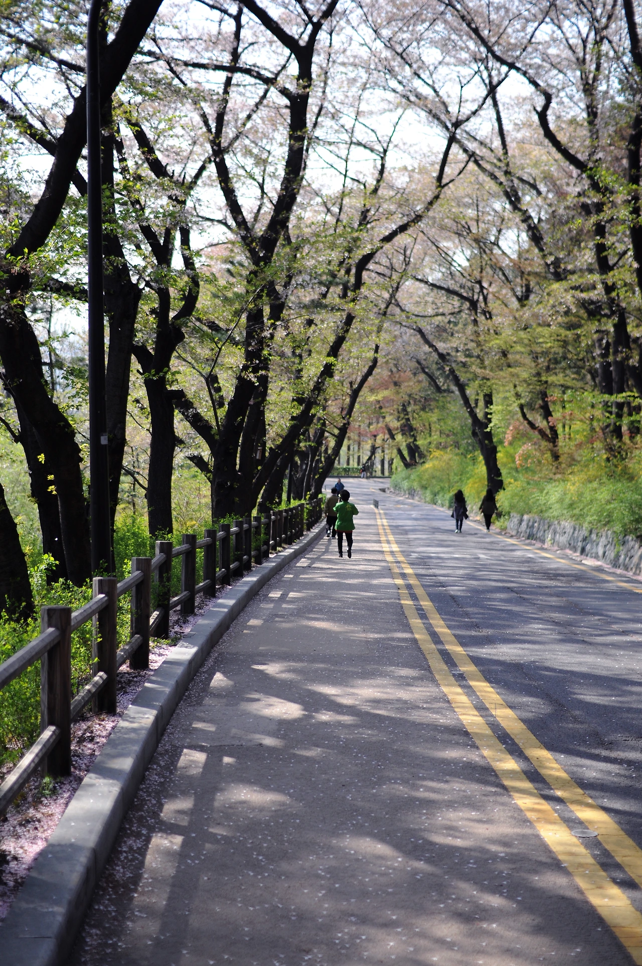 남산이야기 (10).JPG