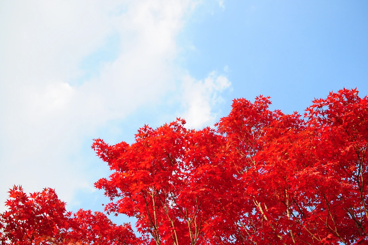 서울숲에서 (13).JPG