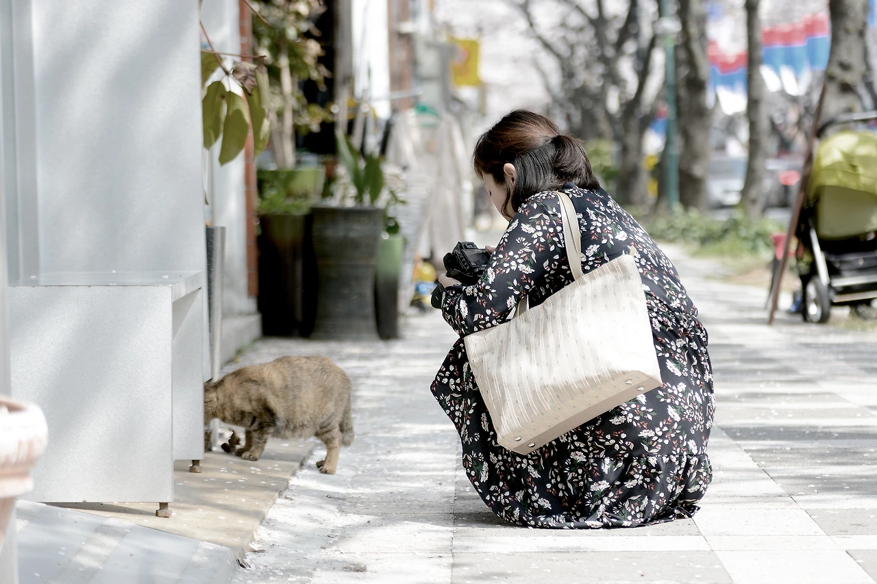 봄날희정 (18).JPG