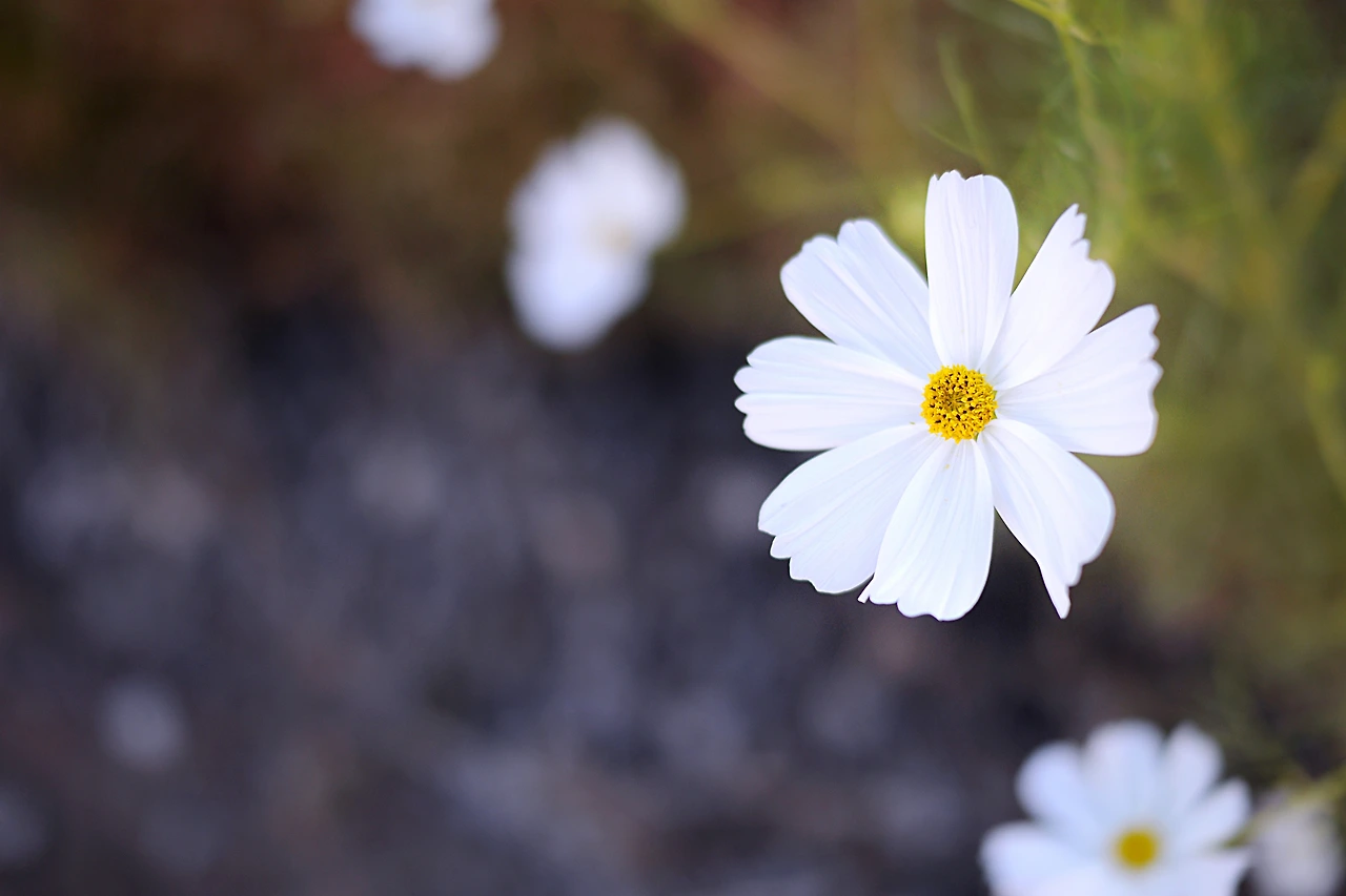 서울숲에서 (4).JPG