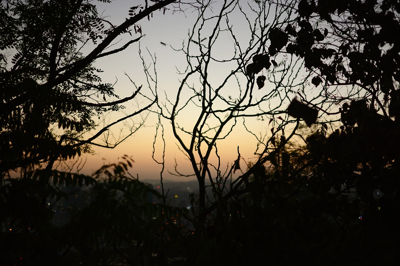 남산이야기 (13).JPG