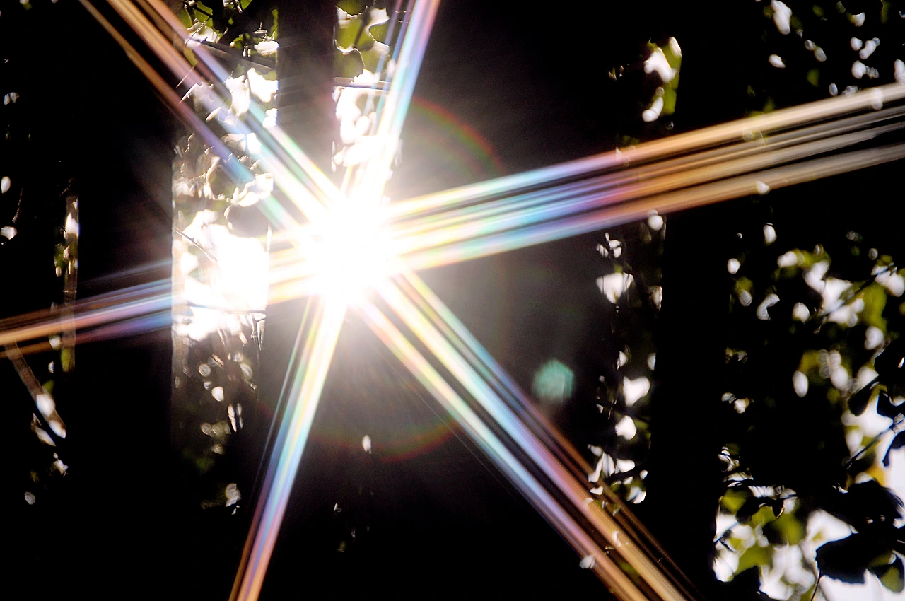 서울숲에서 (15).JPG