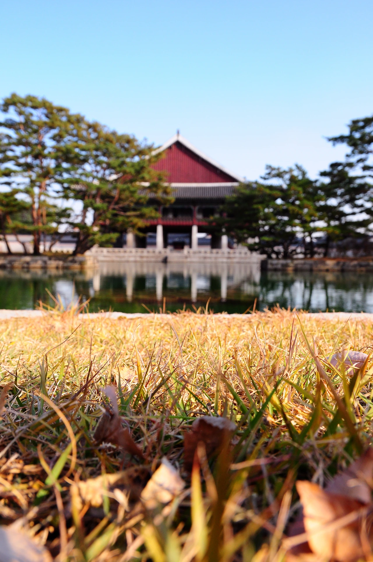 고궁이야기 (4).JPG