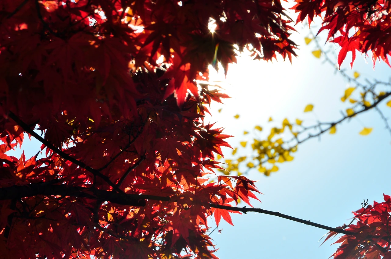 올픽공원 (16).JPG