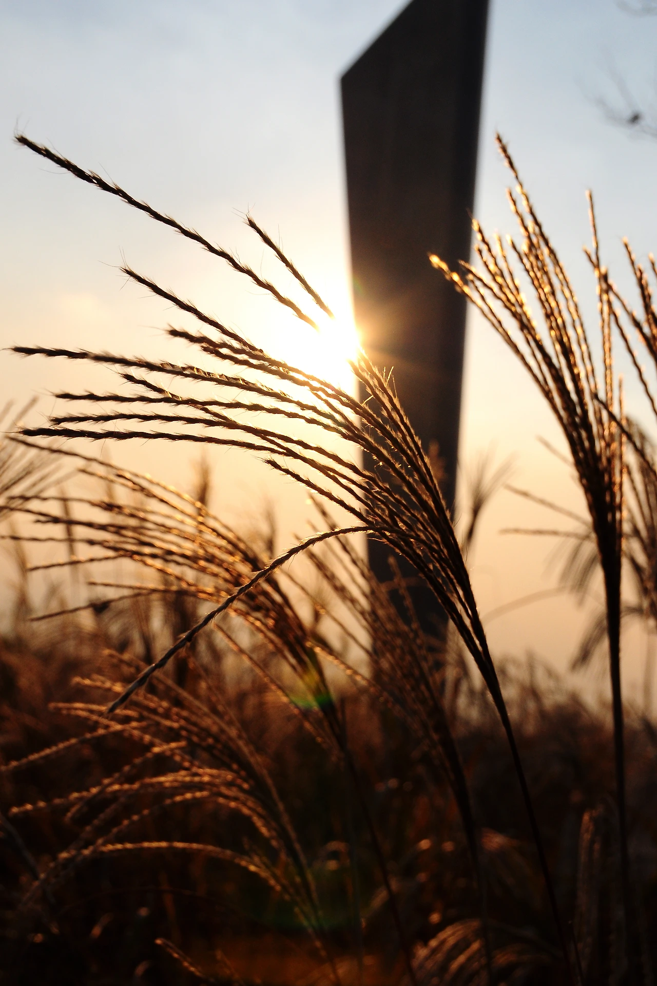 서울숲에서 (18).JPG