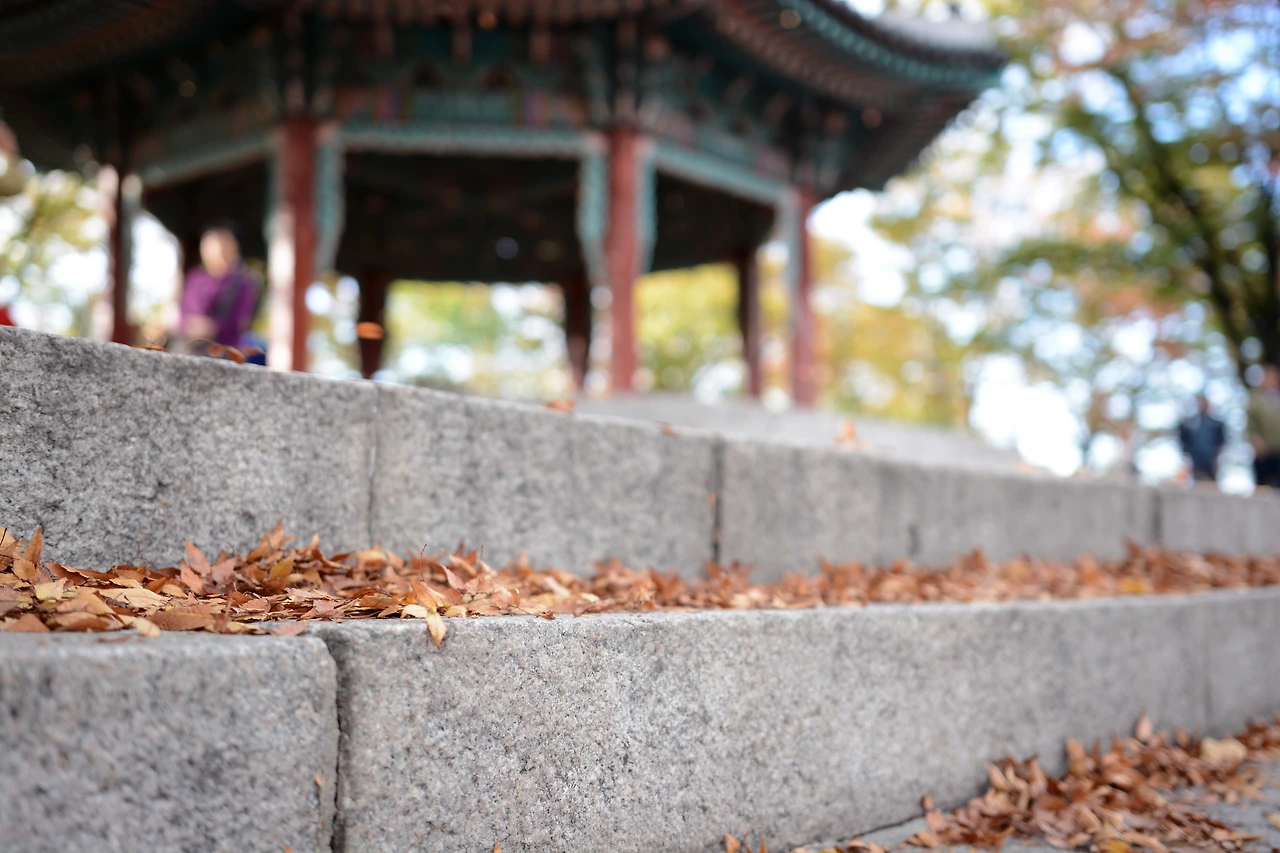 남산이야기 (15).JPG