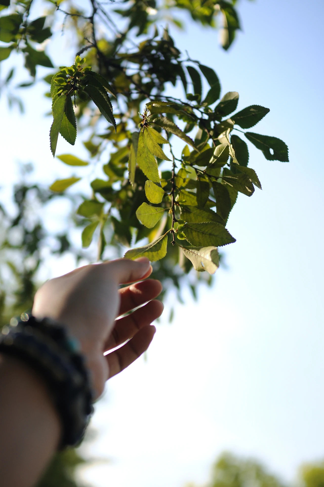 서울숲에서 (19).JPG