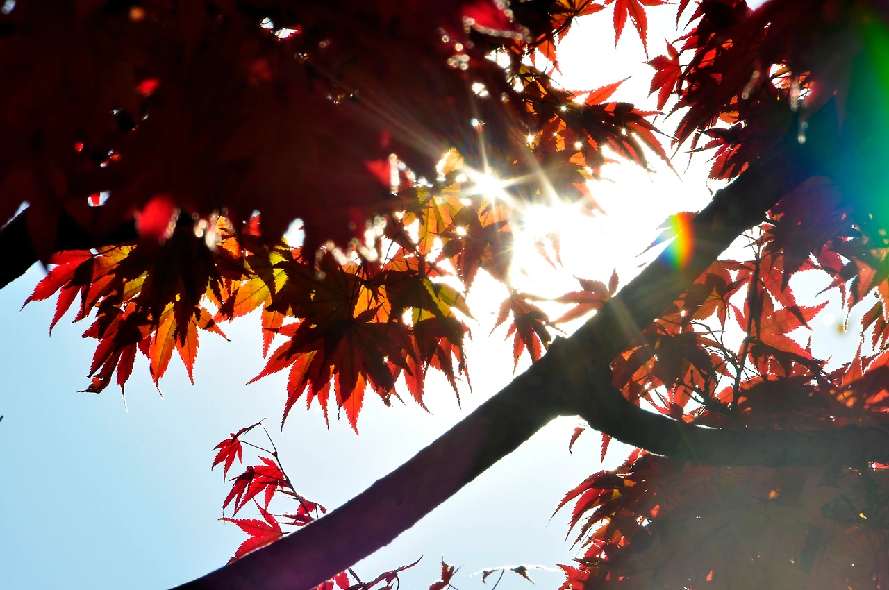 올픽공원 (17).JPG