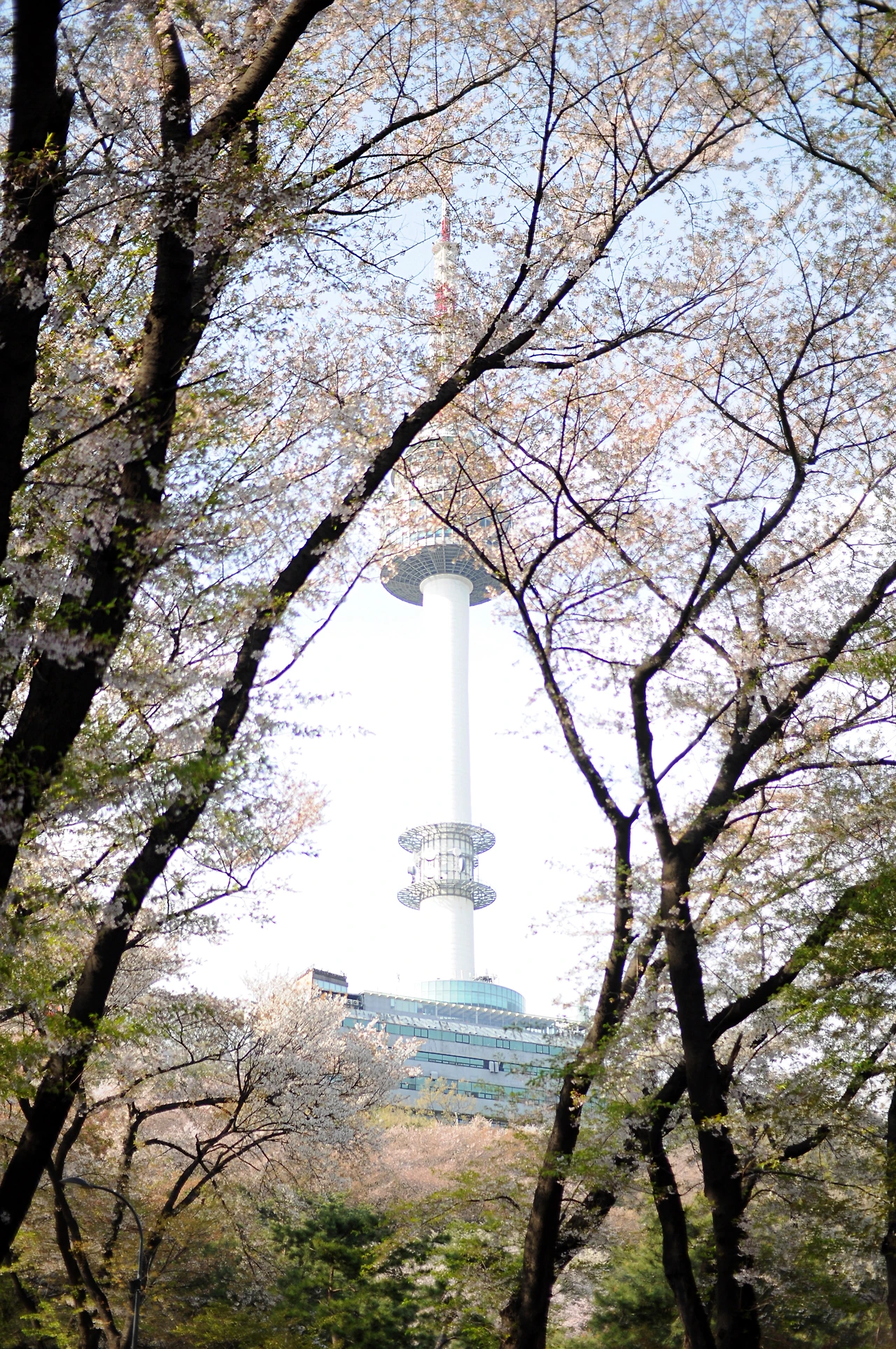 남산이야기 (9).JPG