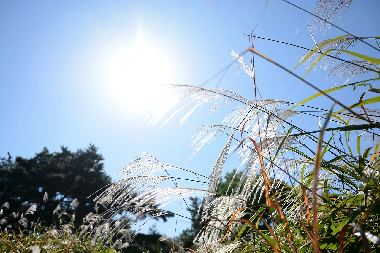 올픽공원 (7).JPG