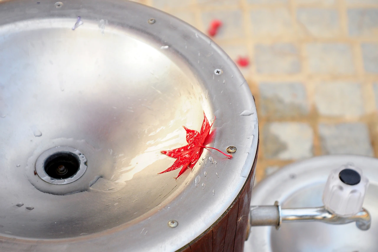 서울숲에서 (12).JPG