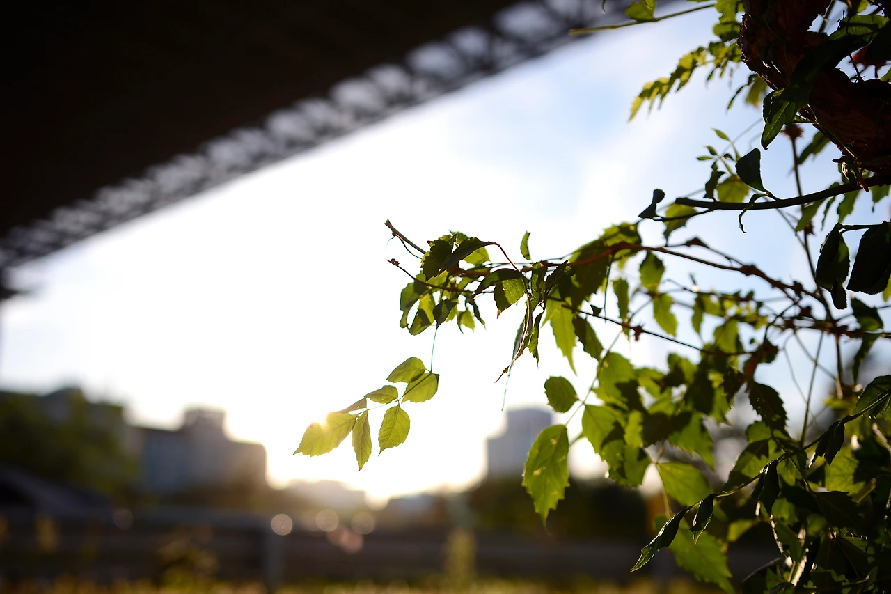 당산역4번 (11).JPG