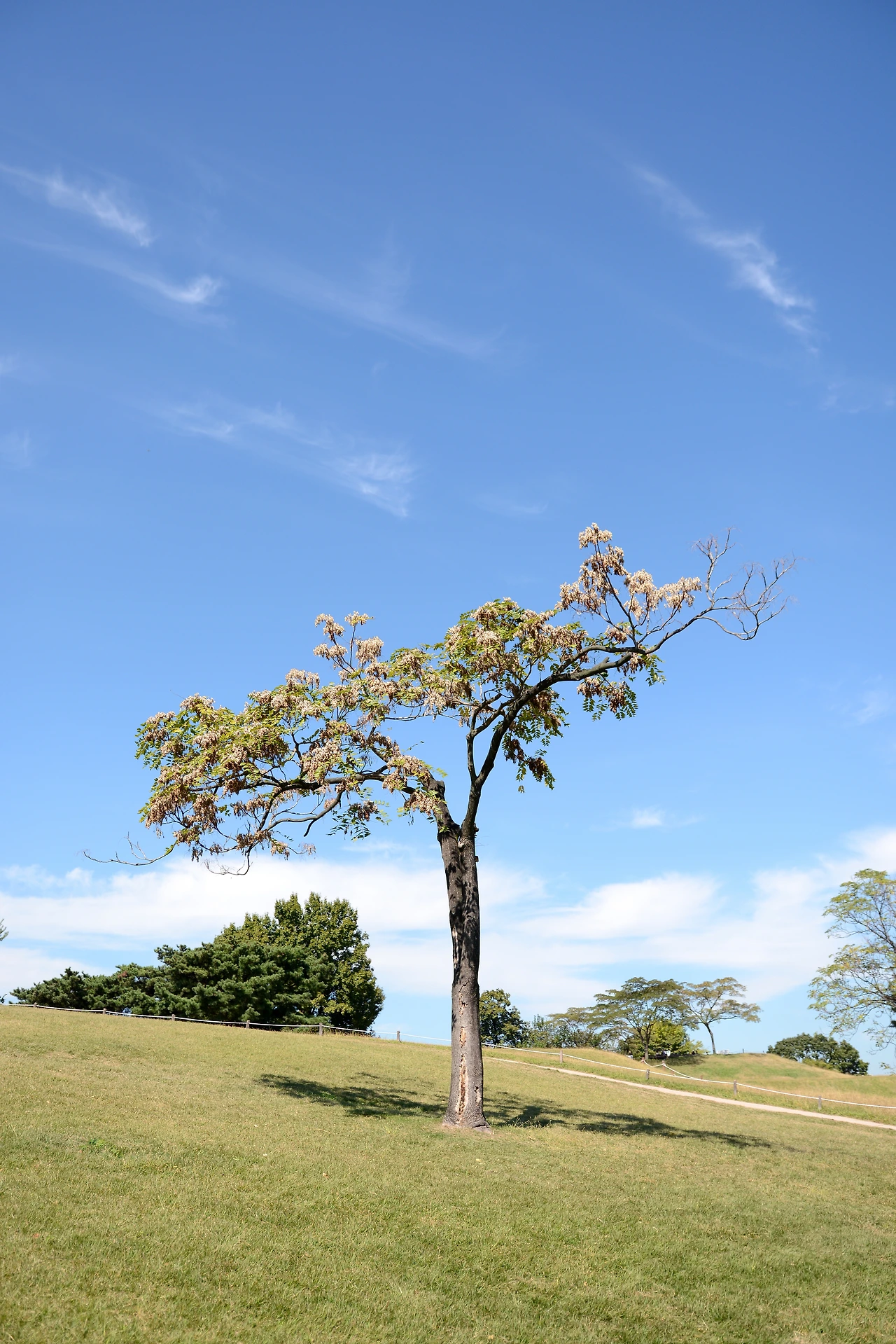 올픽공원 (10).JPG