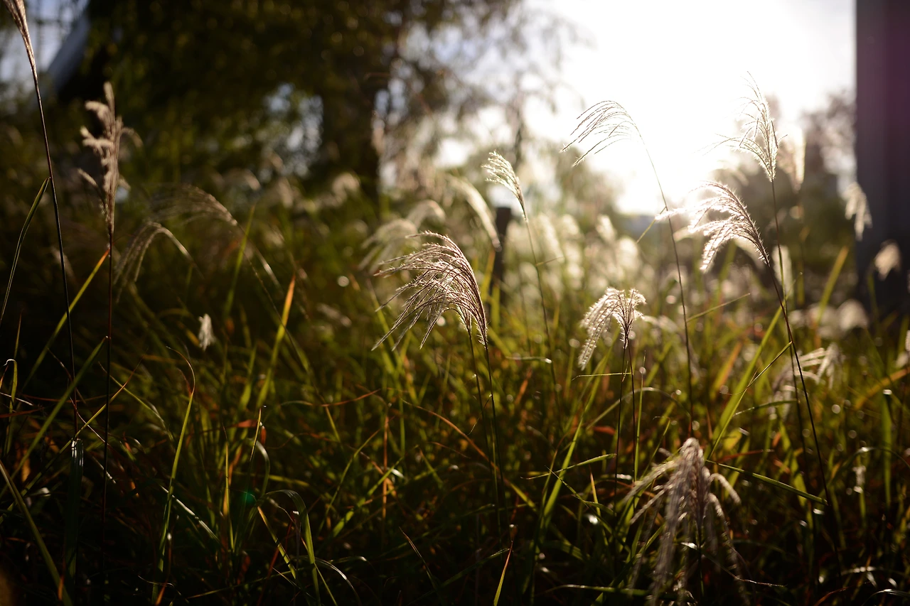 당산역4번 (10).JPG