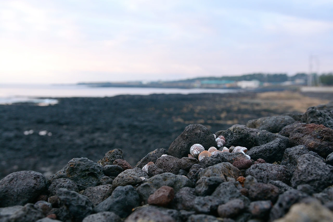 삼달-야외풍경 (5).JPG