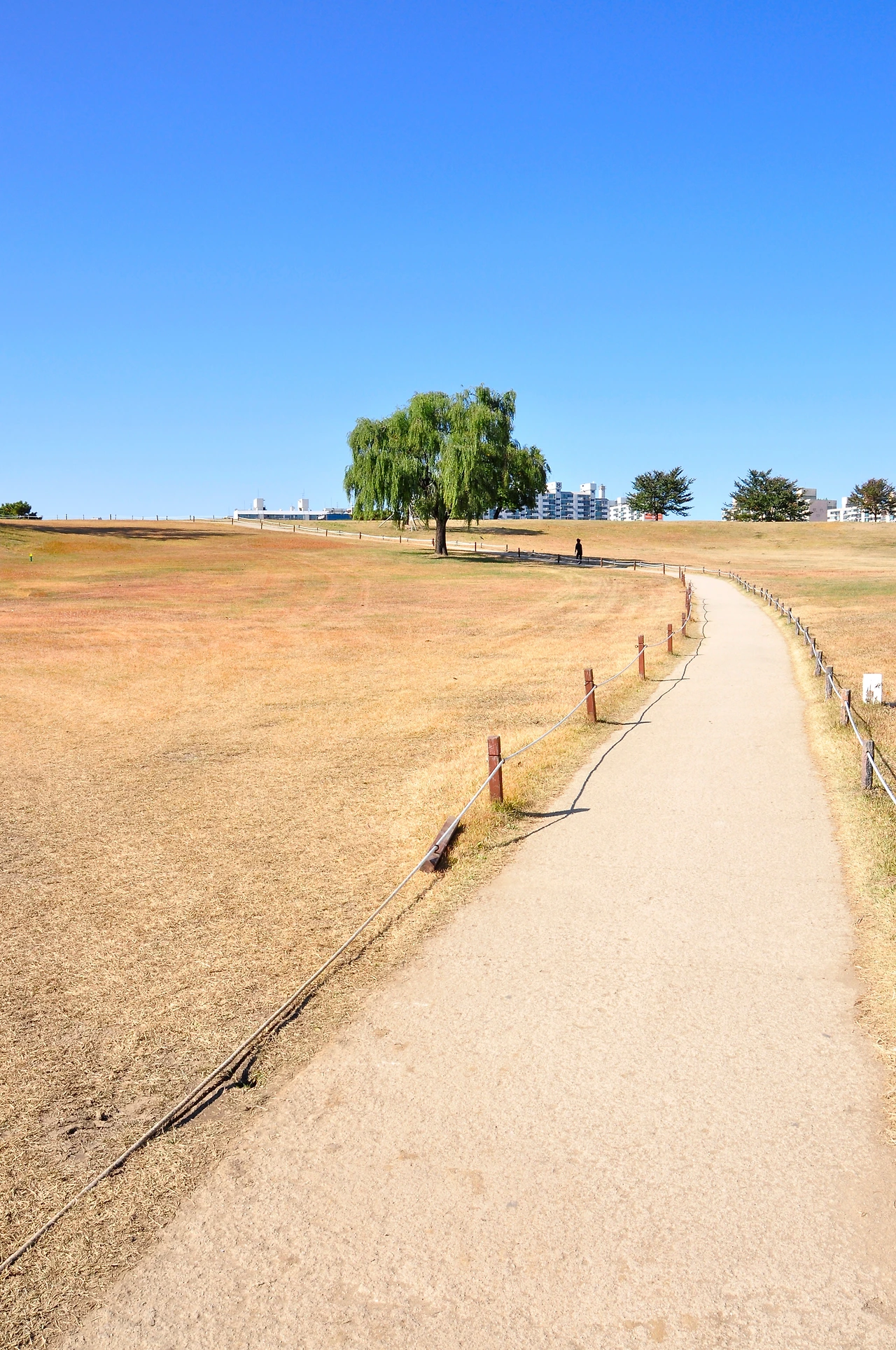 올픽공원 (11).JPG