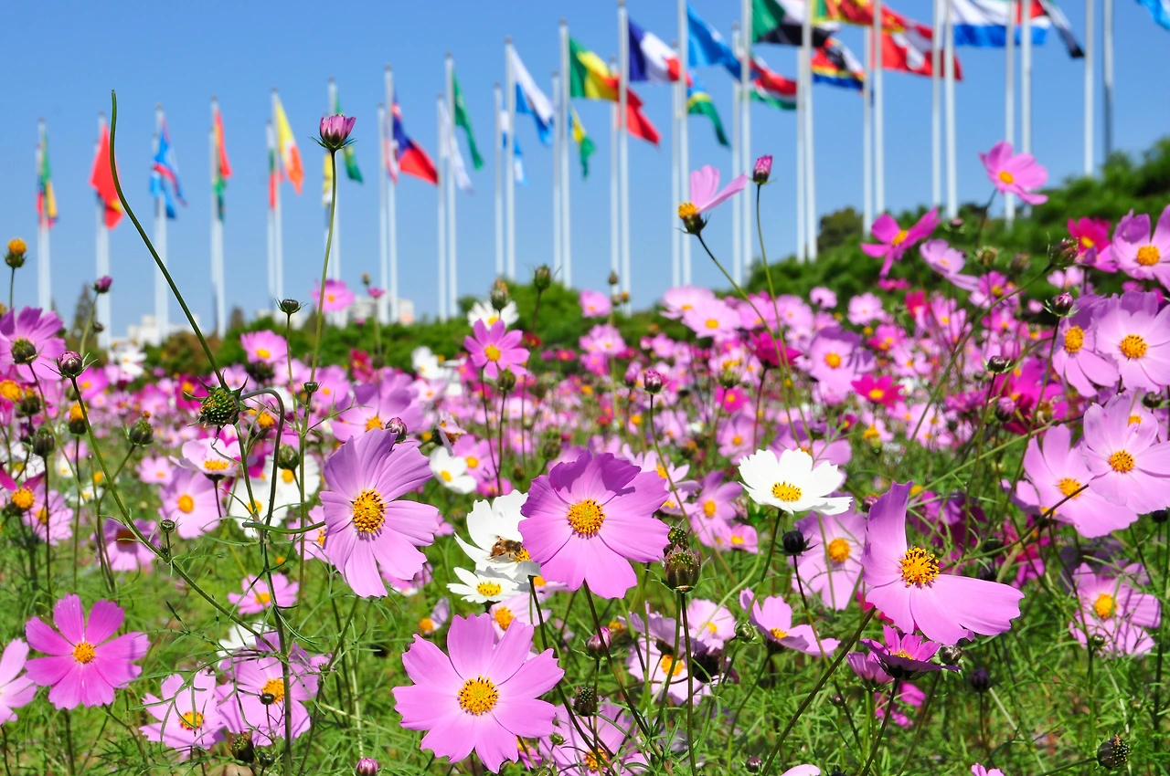 올픽공원 (1).JPG