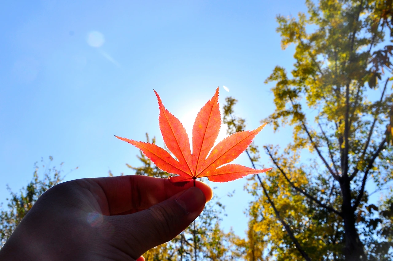 올픽공원 (18).JPG