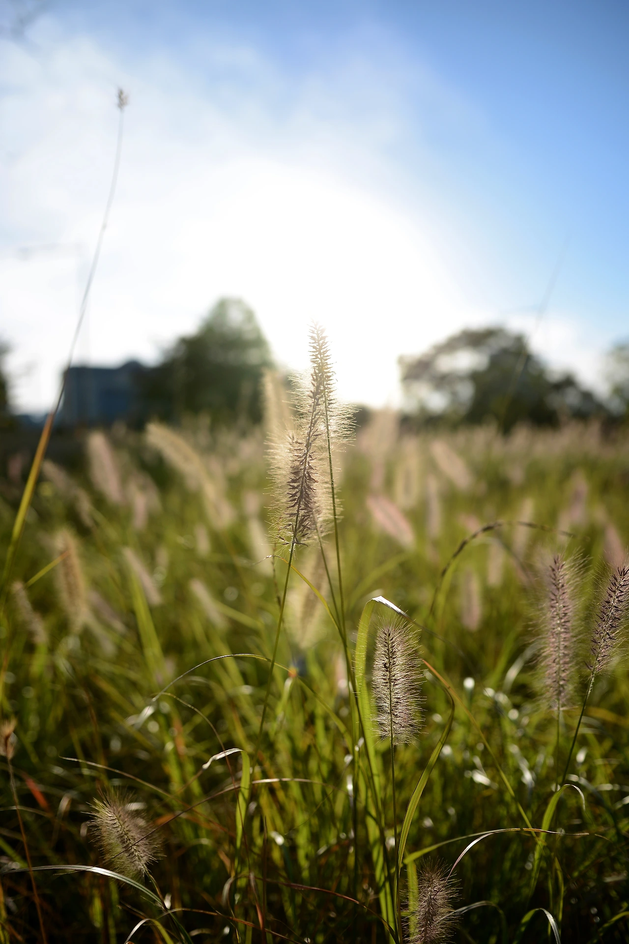 당산역4번 (17).JPG