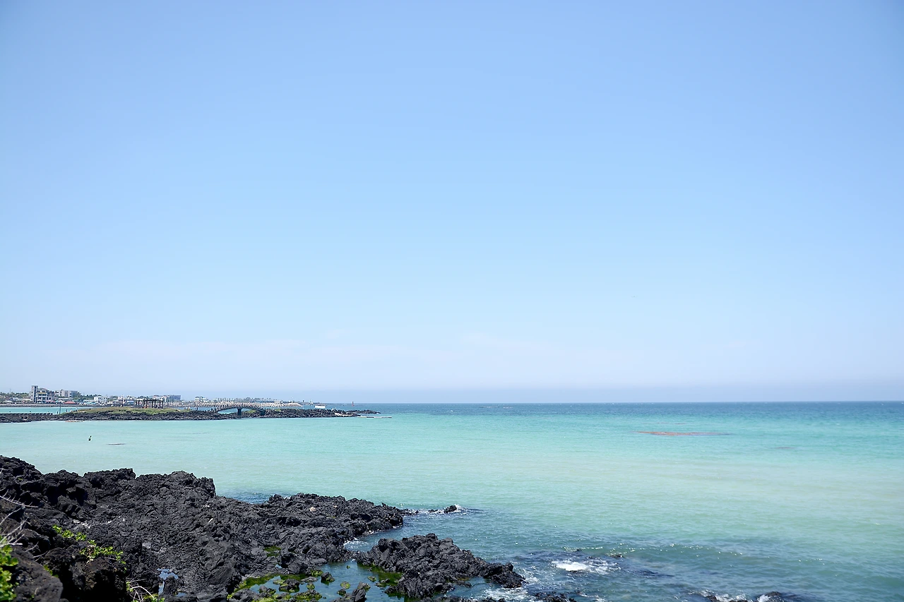 11일차-콘 (4).JPG