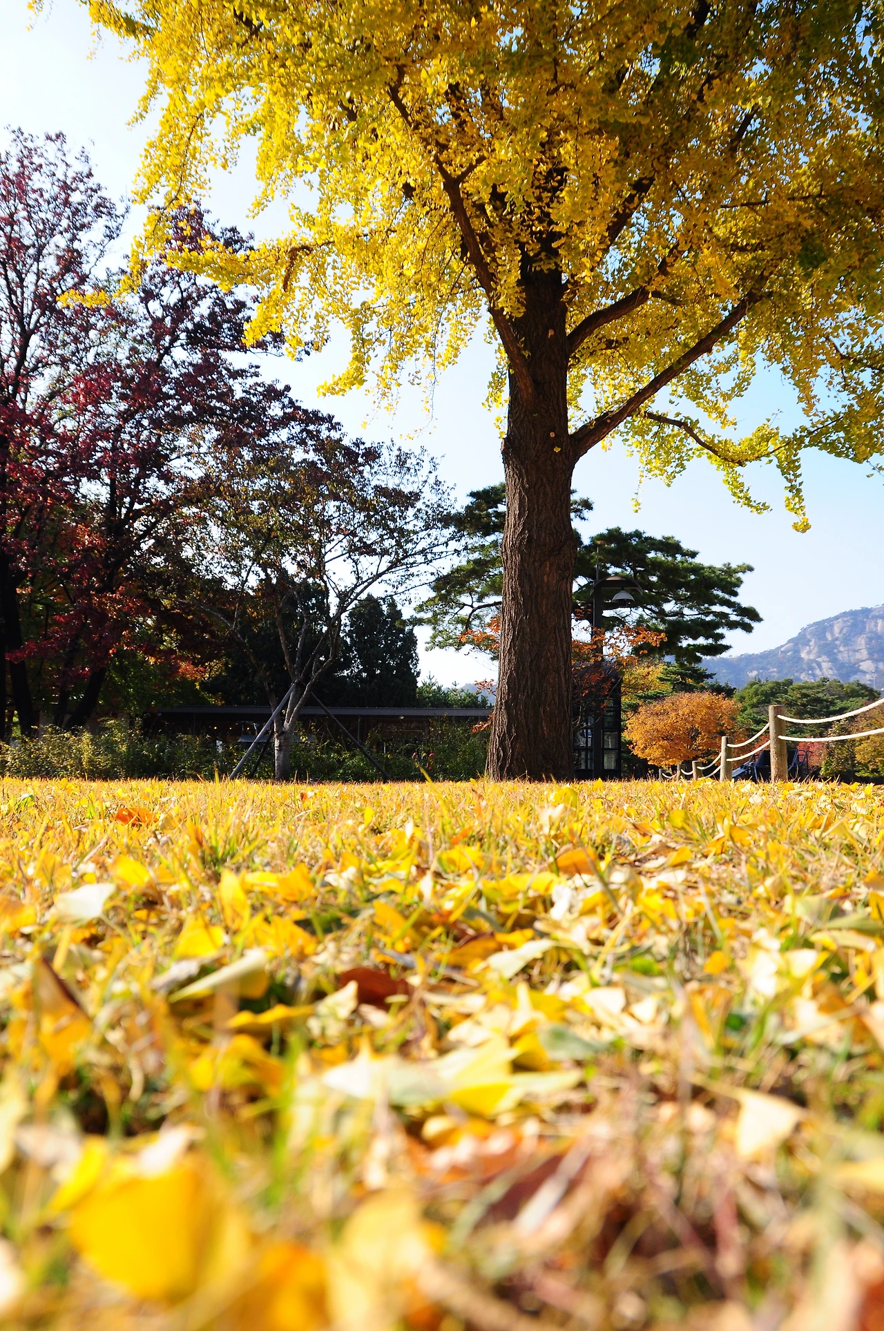 고궁이야기 (14).JPG