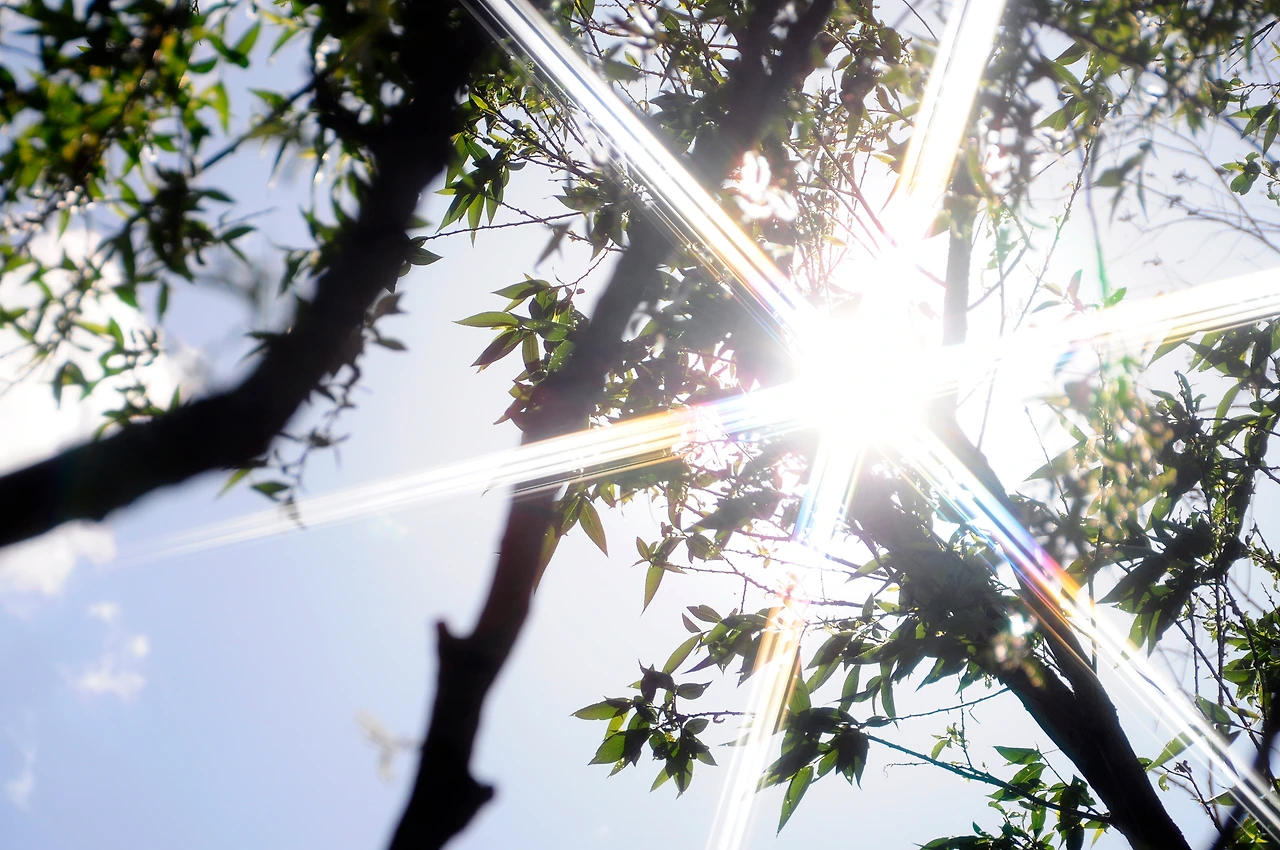 당산역4번 (9).JPG