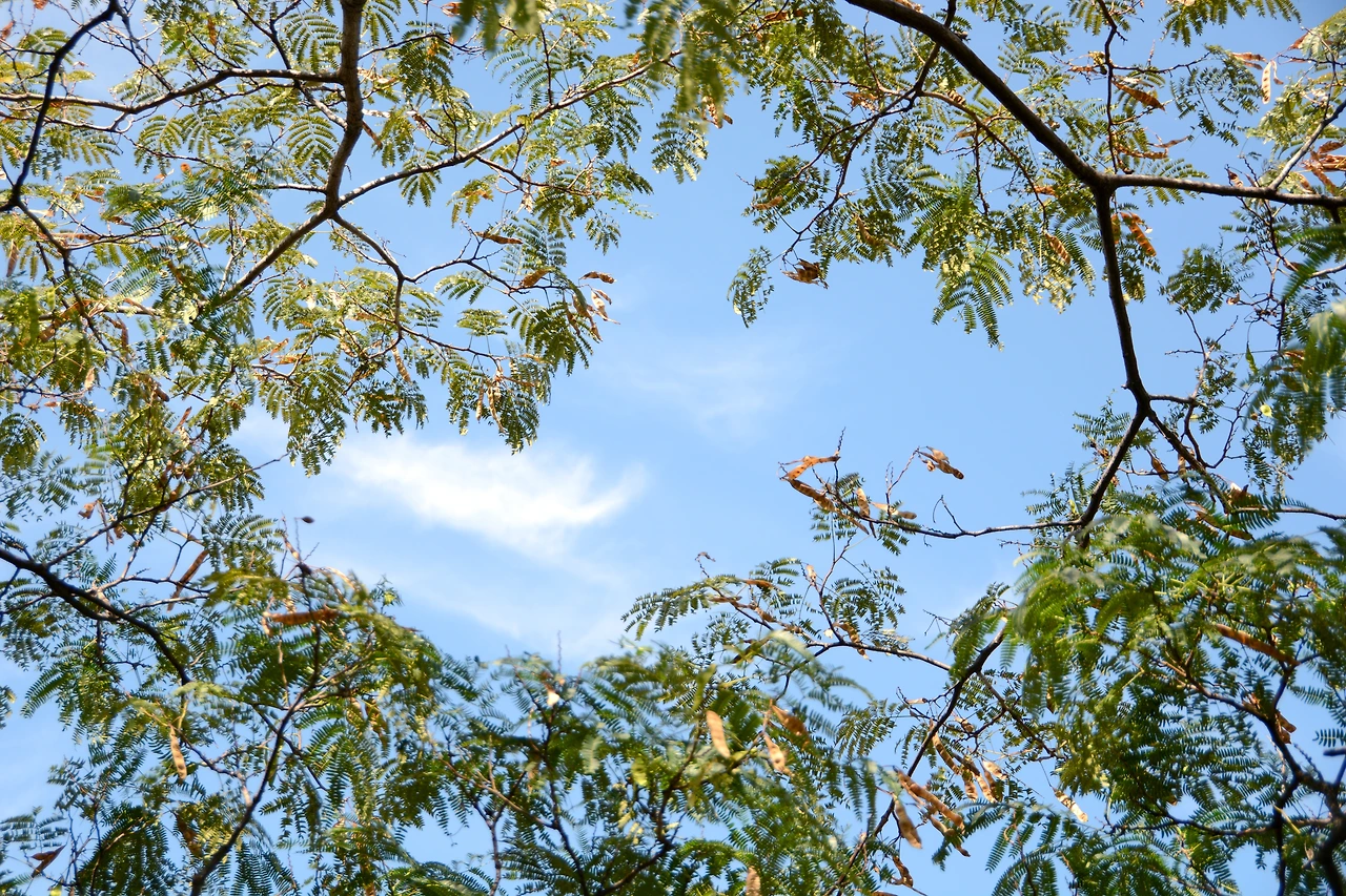 올픽공원 (6).JPG