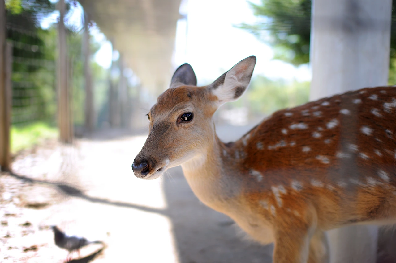 서울숲에서 (14).JPG