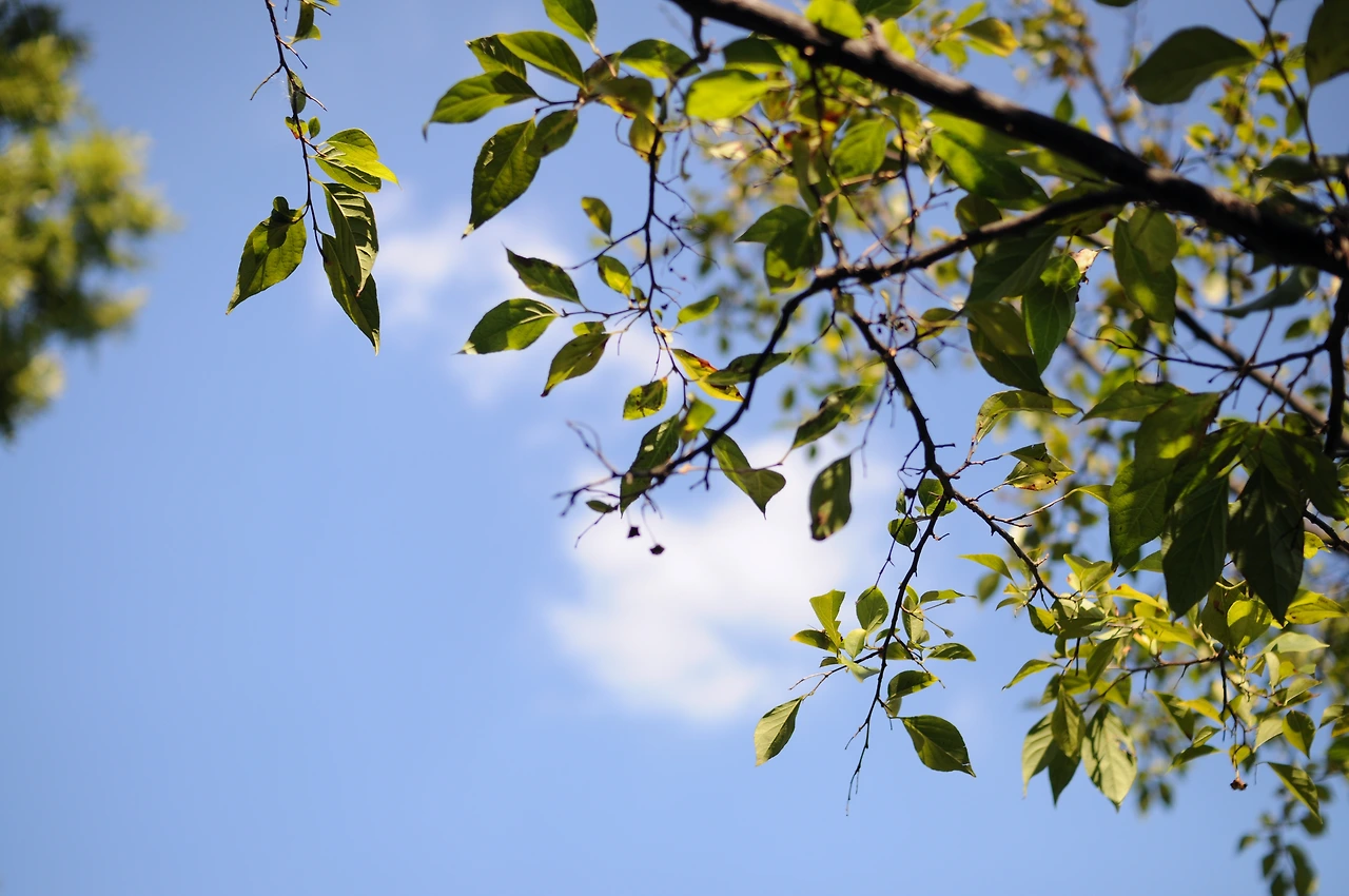 서울숲에서 (2).JPG