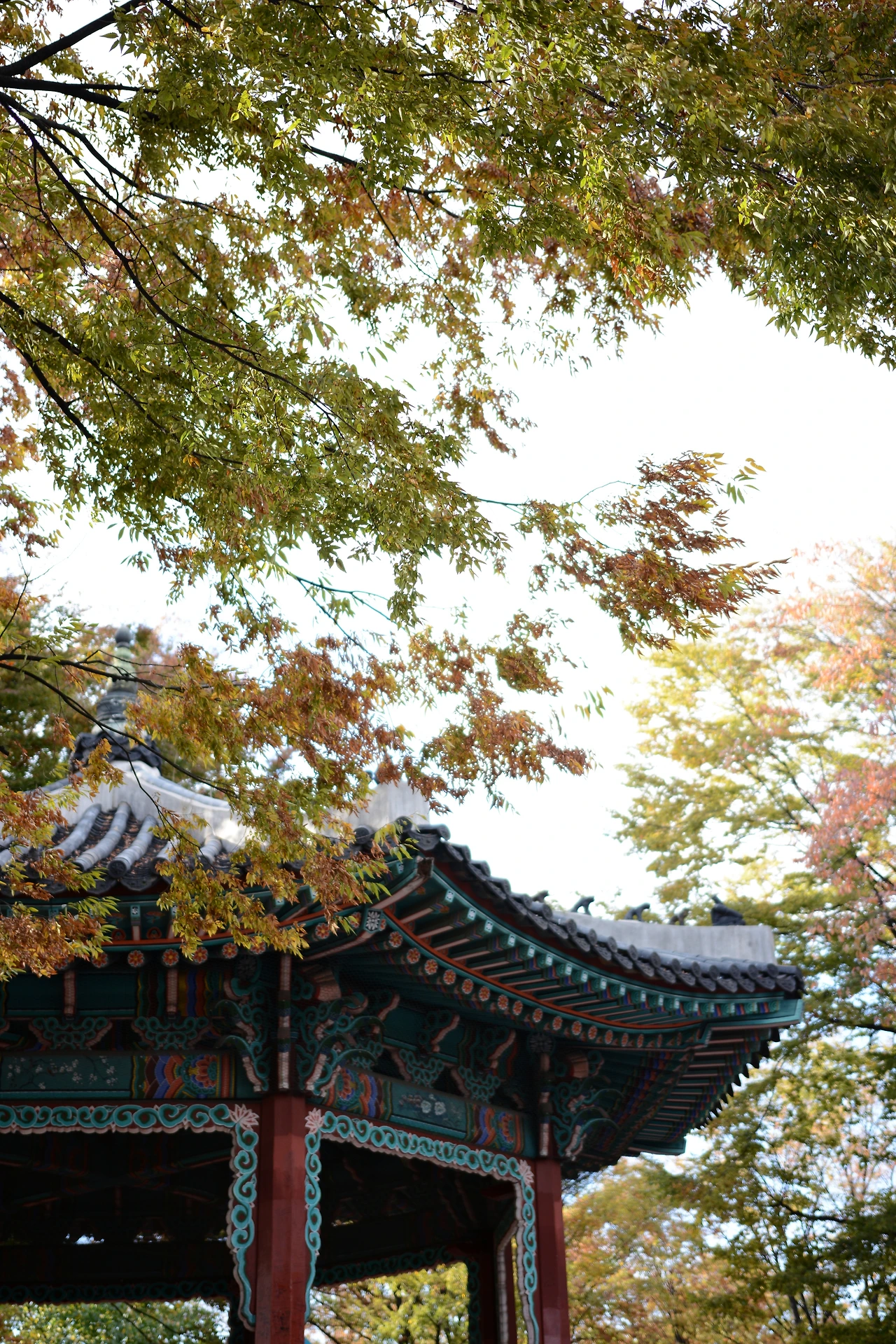 남산이야기 (16).JPG