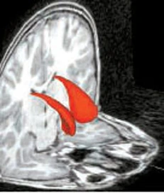 fYhSpmZVFn-YzhTQUVeUh0rwHE7gofcujeJC2LhlYSeedRt7zRIqCPf9kZlDRt3RrMKkF0B7oqLfa37r8giQuSvyQHgnBbjxNaJmwyyCVoKHkP9sGRBVADQdbSztvtOilhe6rQ_NQaVx9w26ZqibsB83UcQ