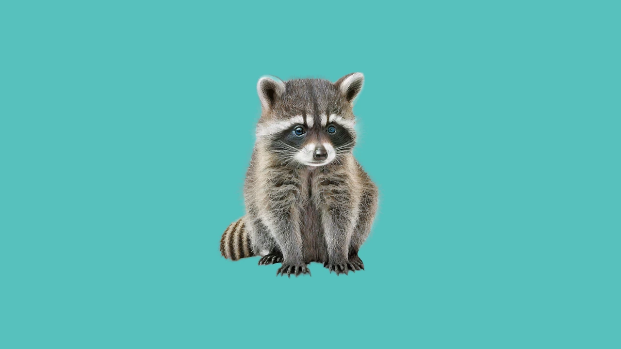 브런치 썸네일.001.jpeg