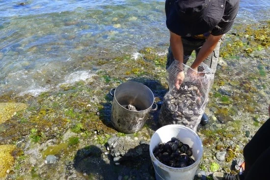 2637254252C032341F642A