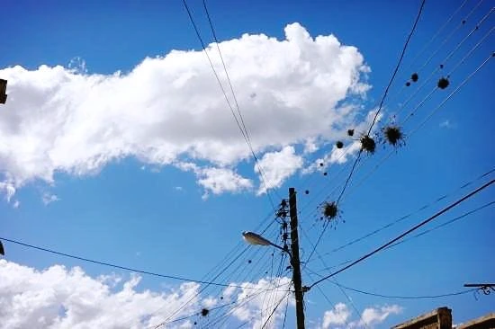 P1180735.JPG?type=w2