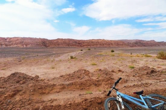 P1190309.JPG?type=w2