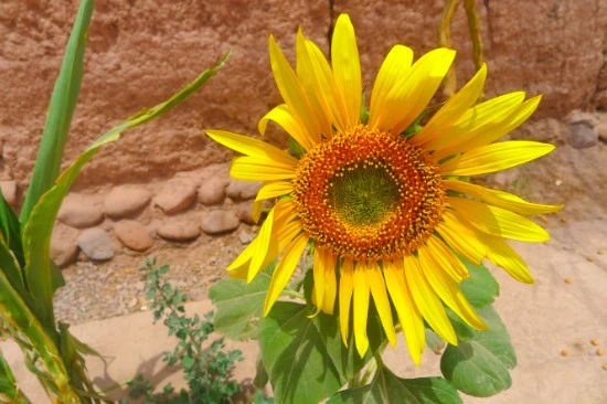 P1190263.JPG?type=w2