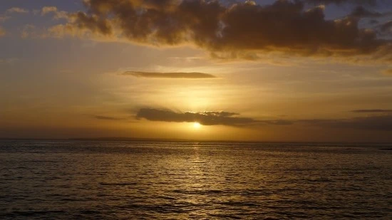 2442DF4252C032331BCDF4