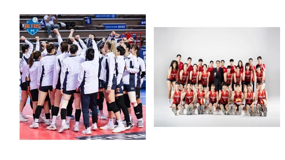 %EC%95%8C%ED%86%A0_%ED%8E%98%ED%8D%BC_%EB%A9%94%EC%9D%B8.jpg?type=w1