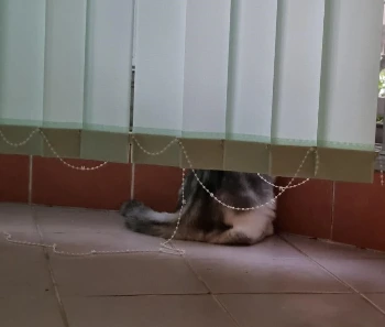 SE-d41ab8f6-7d54-4b01-af6d-bb94037f3829.jpg?type=w1