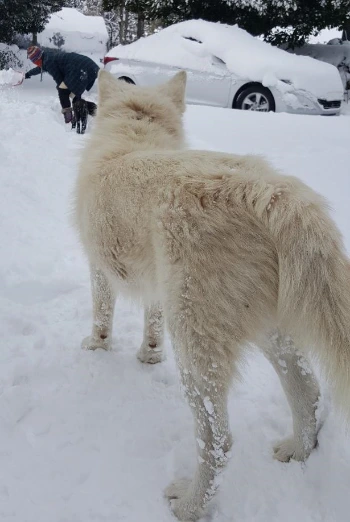 SE-e2819f7e-b321-475a-a535-53a965845e3e.jpg?type=w1