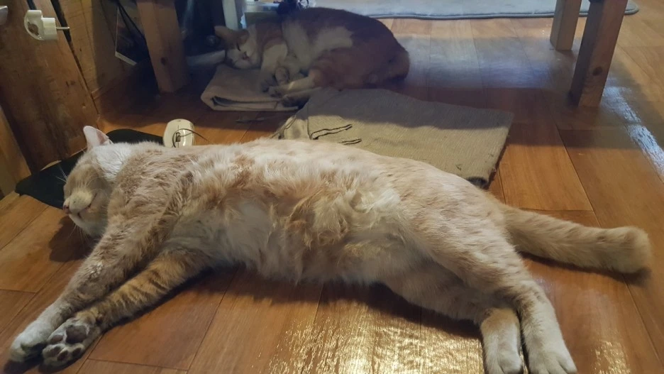 KakaoTalk_20210711_192018540_14.jpg?type=w1