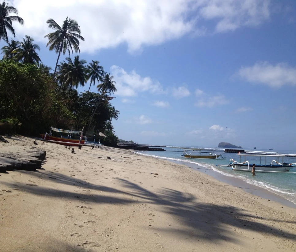 IMG_8204.JPG?type=w966