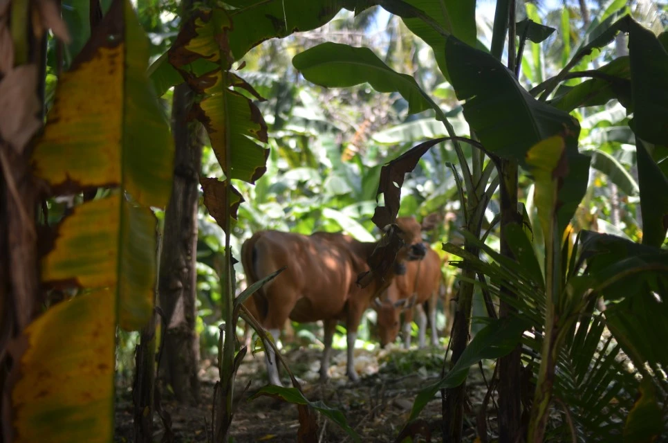 DSC_0726.JPG?type=w966