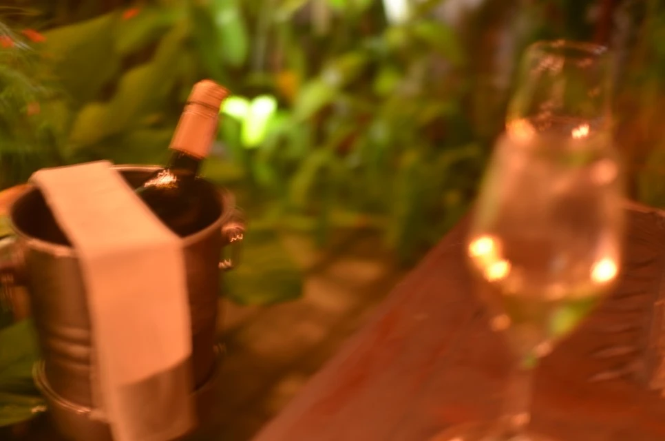 DSC_1000.JPG?type=w966