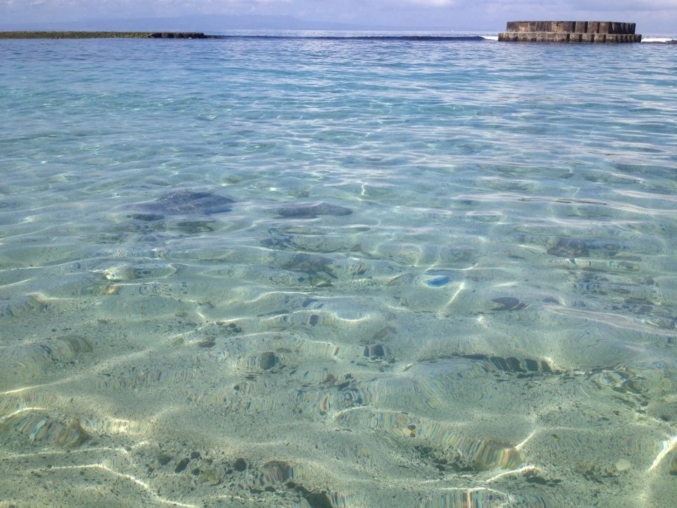 IMG_8192.JPG?type=w966