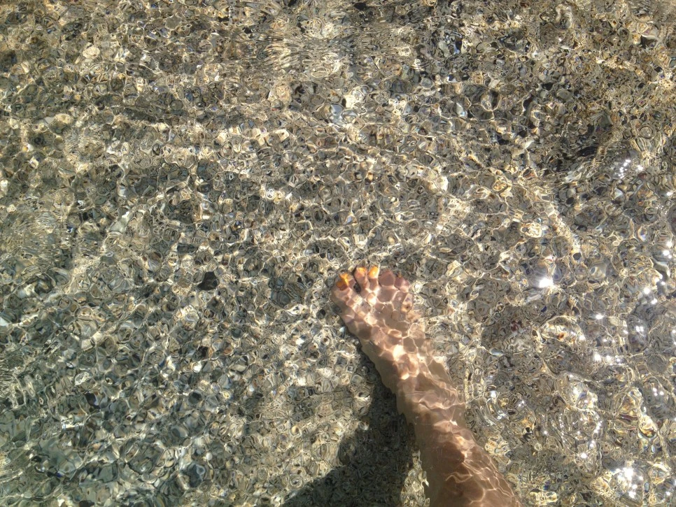 IMG_8190.JPG?type=w966