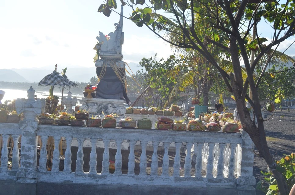 DSC_0956.JPG?type=w966