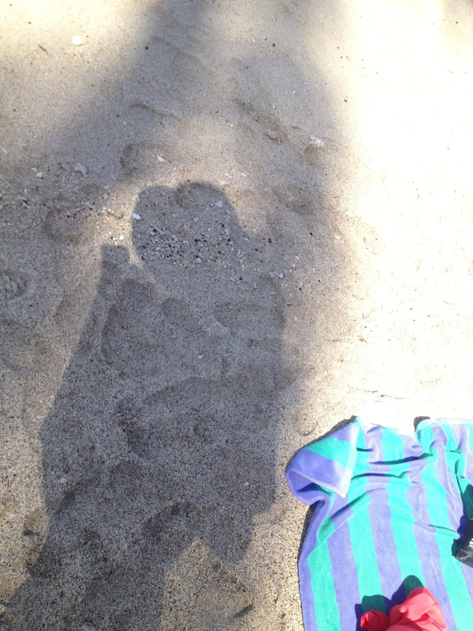 IMG_8200.JPG?type=w966