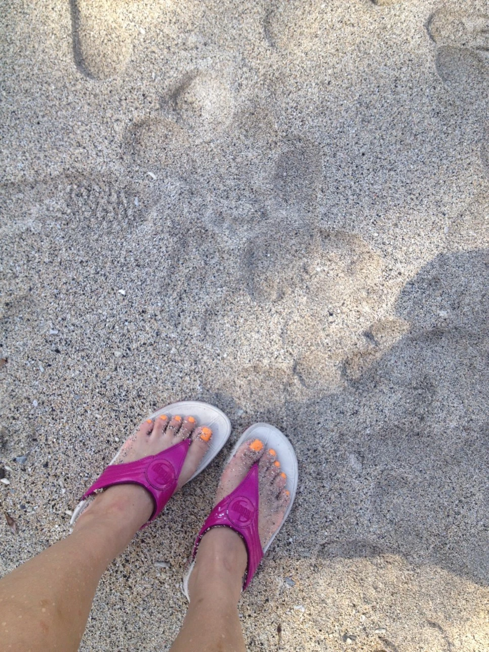 IMG_8199.JPG?type=w966