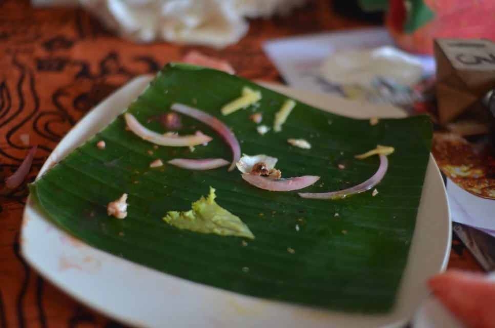 DSC_0876.JPG?type=w966